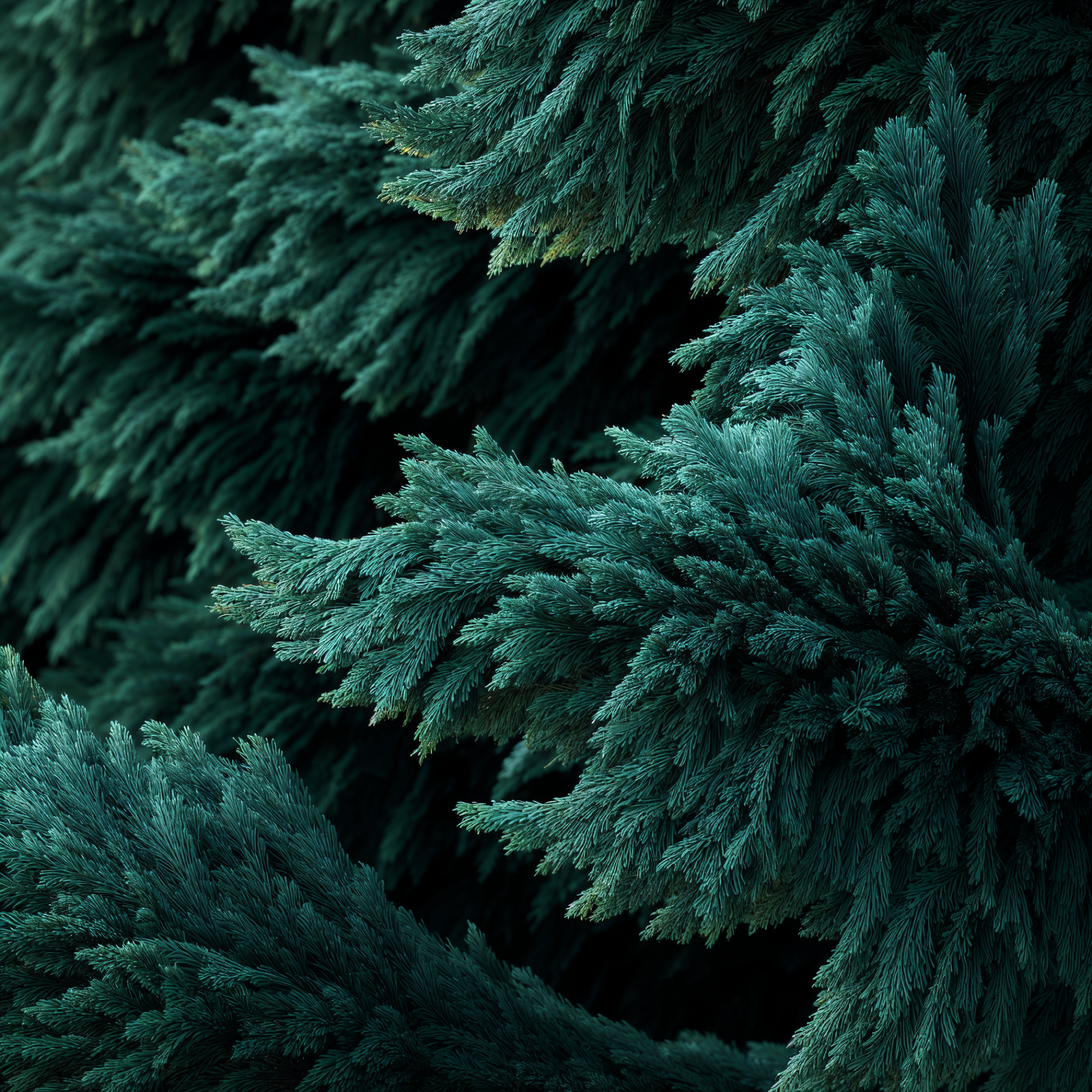 House of the Wise Hero